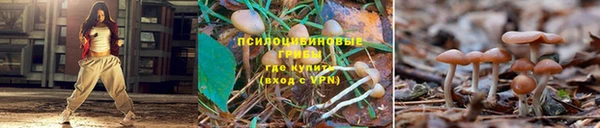 тгк Алексеевка
