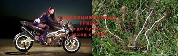 тгк Алексеевка