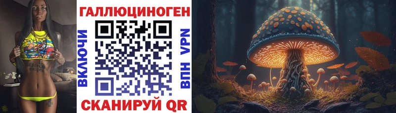 как найти закладки  Волжский  KRAKEN ссылки  Псилоцибиновые грибы Psilocybe 